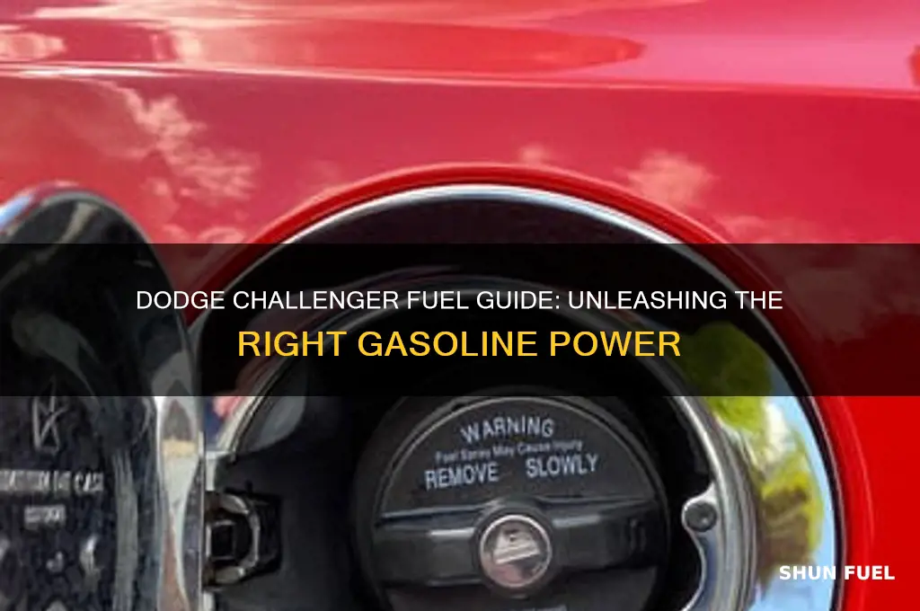what kind of fuel does a dodge challenger use