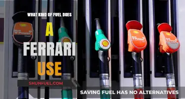 What Fuel Powers a Ferrari: Unleashing the Engine's Potential