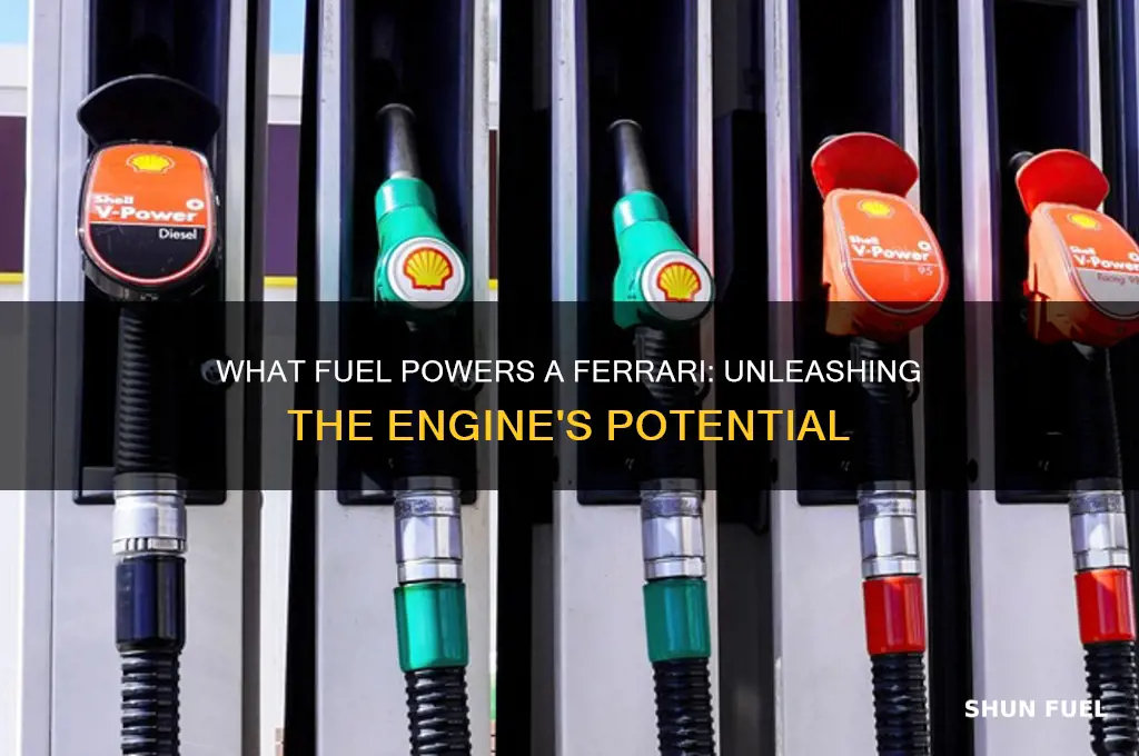 what kind of fuel does a ferrari use