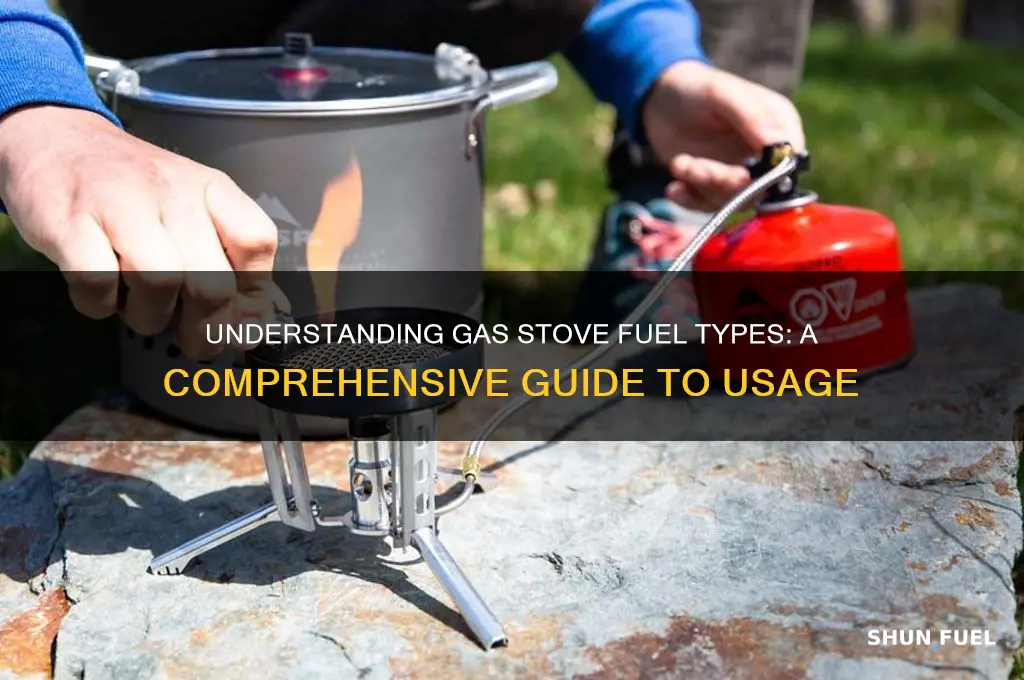 what kind of fuel does a gas stove use