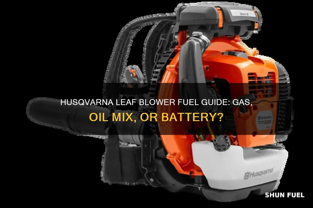what kind of fuel does a husqvarna leaf blower use