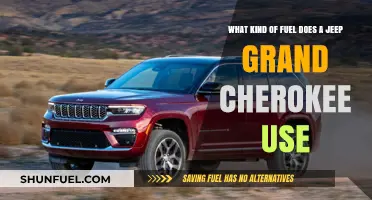 Jeep Grand Cherokee Fuel Types: Gasoline, Diesel, or Hybrid Options