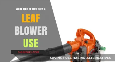 What Fuel Powers Your Leaf Blower: Gas, Electric, or Battery?