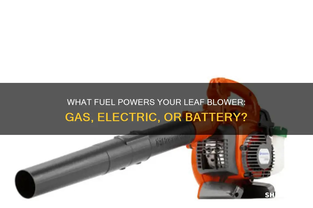 what kind of fuel does a leaf blower use