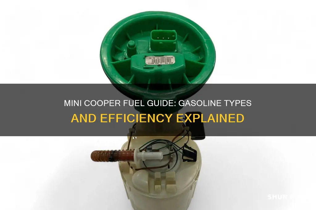 what kind of fuel does a mini cooper use