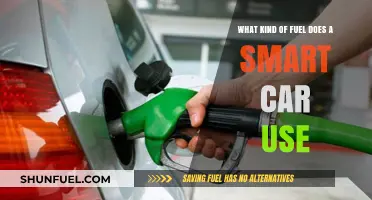 Smart Car Fuel Types: Gasoline, Electric, or Alternative Options?