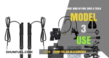 Tesla Model 3 Fuel Type: Electric Power Explained Simply