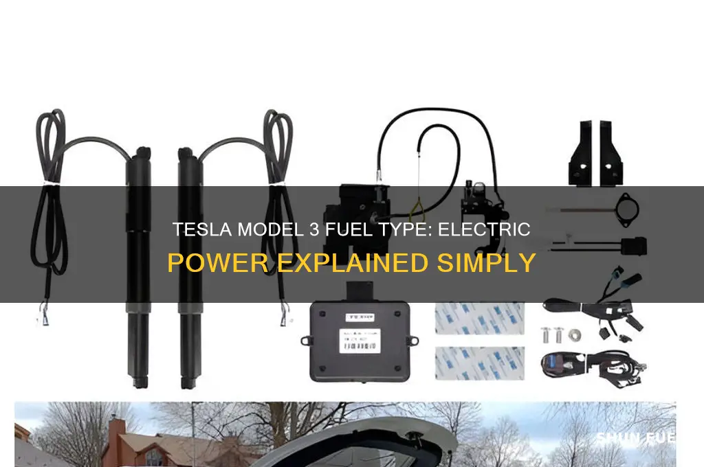 what kind of fuel does a tesla model 3 use