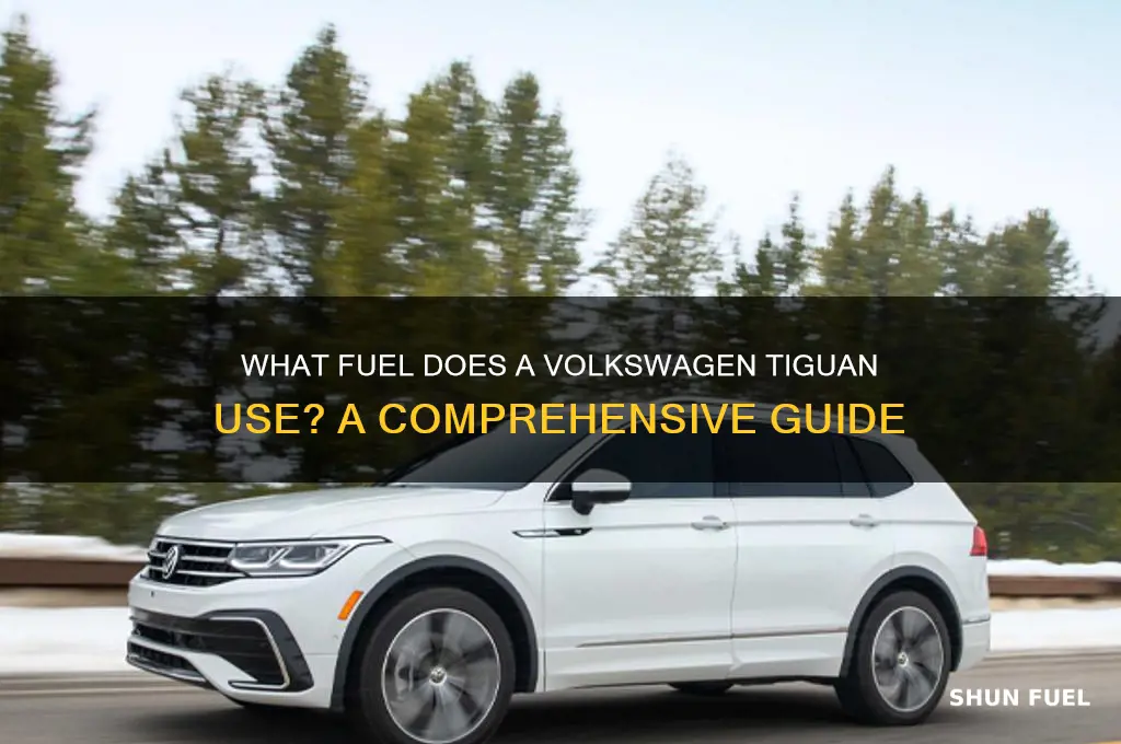what kind of fuel does a tiguan use