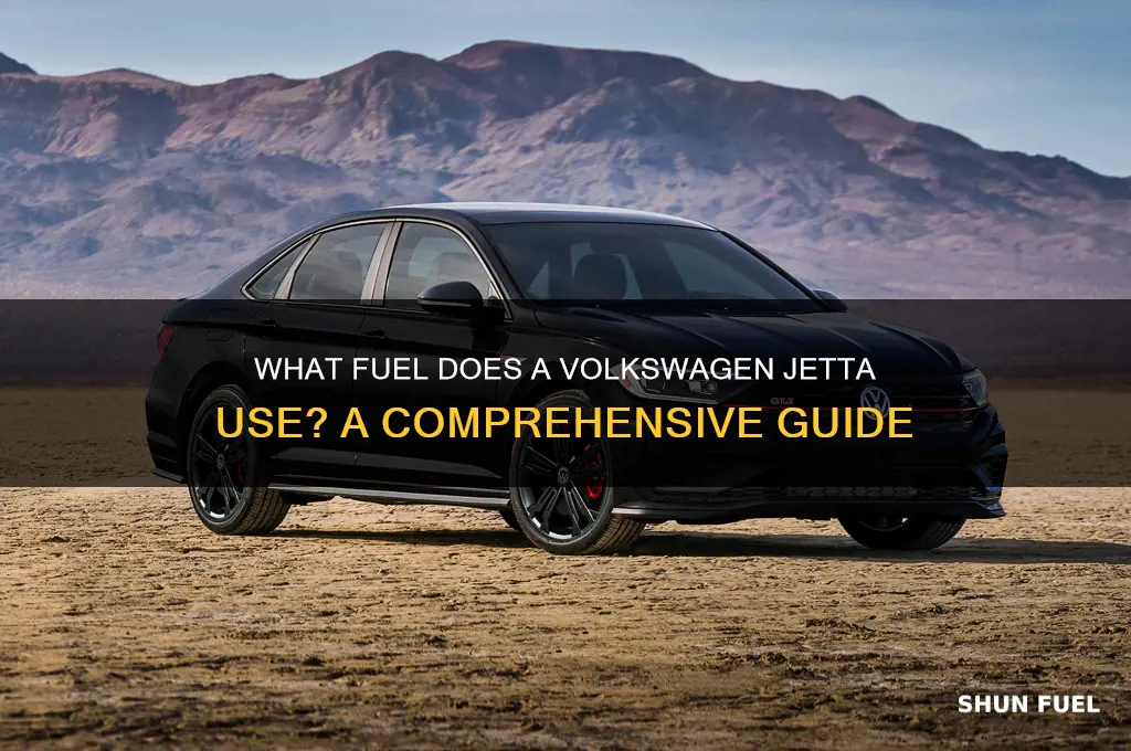what kind of fuel does a volkswagen jetta use