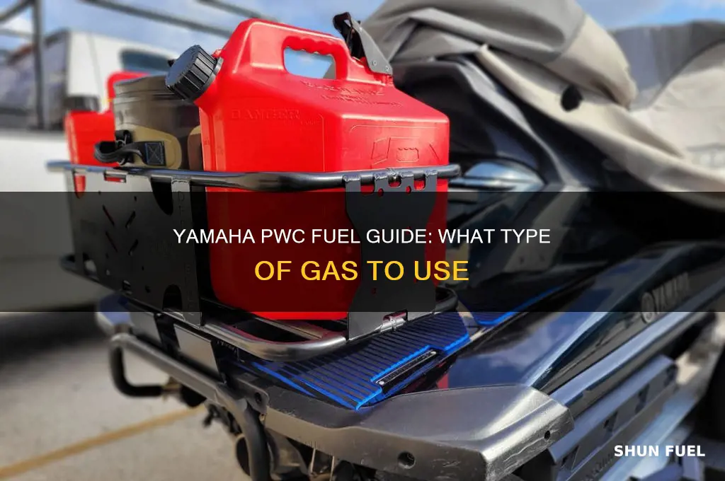 what kind of fuel does a yamaha pwc use