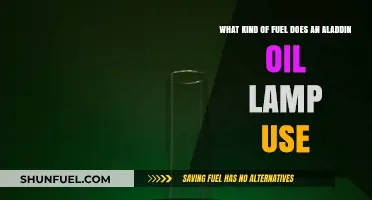 What Fuel Powers an Aladdin Oil Lamp: A Comprehensive Guide