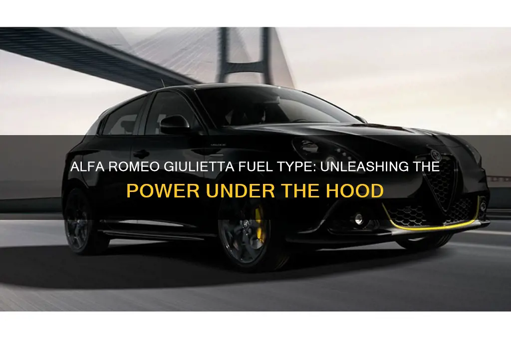 what kind of fuel does an alfa romeo giulietta use
