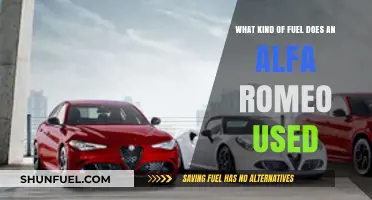 Alfa Romeo Fuel Types: Gasoline, Diesel, and Hybrid Options Explained