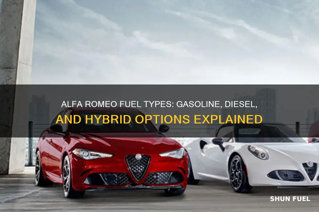 what kind of fuel does an alfa romeo used