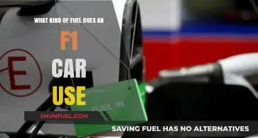 Exploring the High-Performance Fuel Powering Modern F1 Race Cars