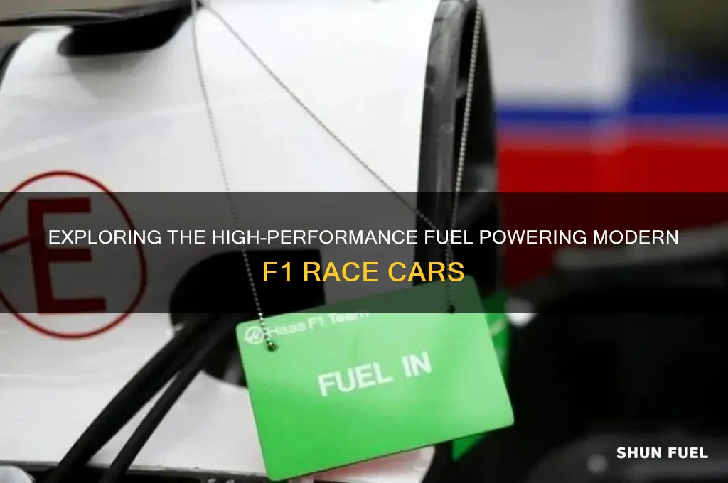 what kind of fuel does an f1 car use