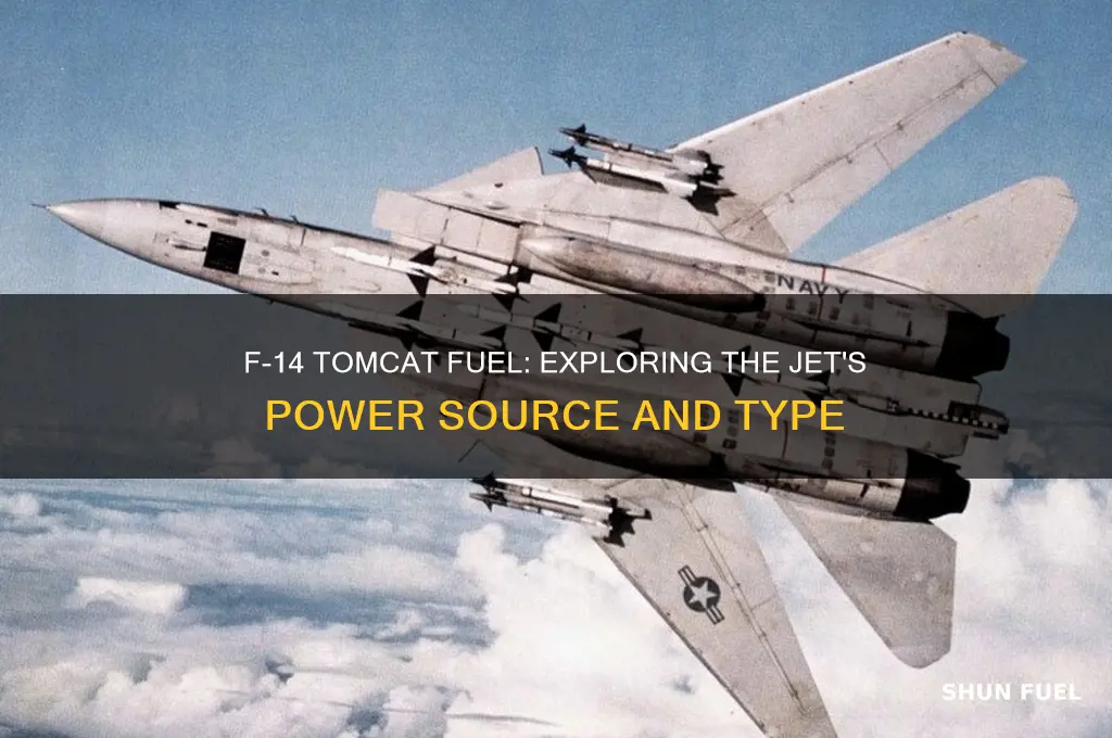 what kind of fuel does an f14 use