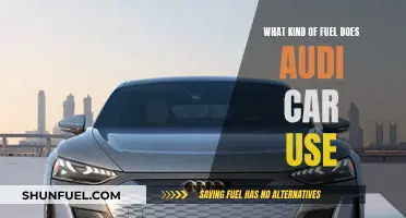 Audi Cars: Fuel Types and Efficiency Explored