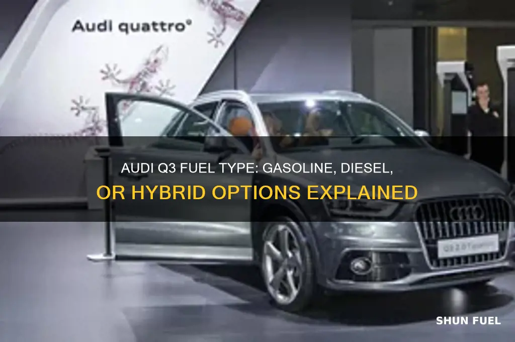 what kind of fuel does audi q3 use