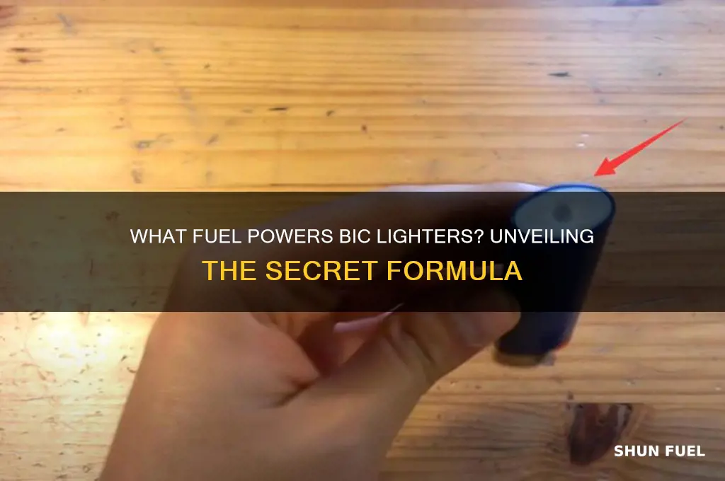 what kind of fuel does bic use