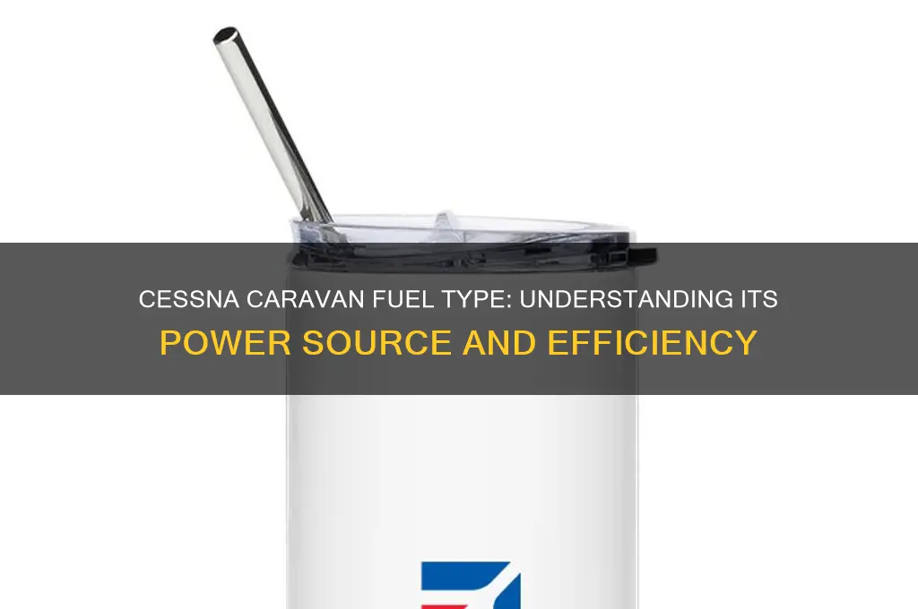 what kind of fuel does cessna caravan use