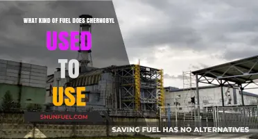 Chernobyl's Nuclear Fuel: Unveiling the Reactor's Power Source