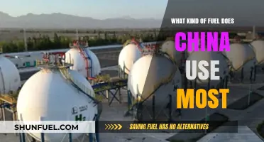 China's Dominant Fuel Source: Unveiling the Nation's Energy Reliance