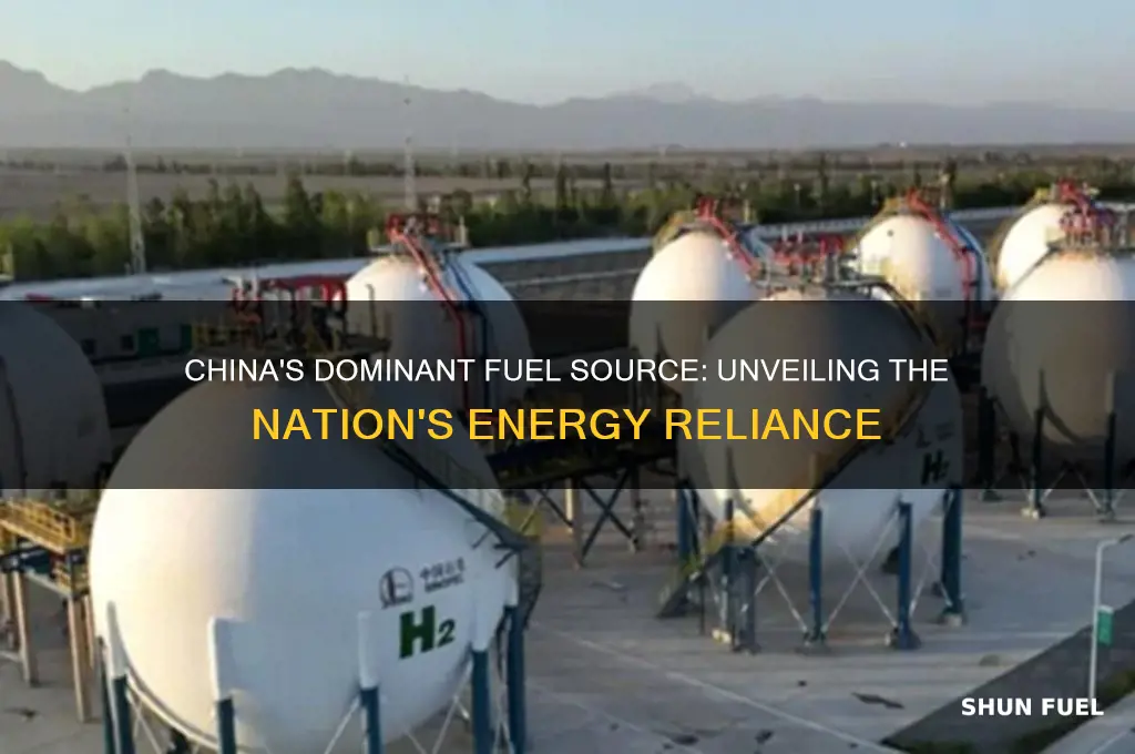 what kind of fuel does china use most