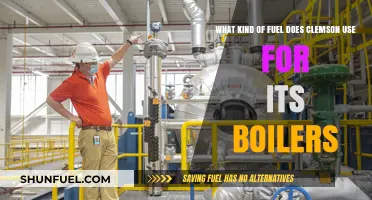 Clemson's Boiler Fuel: Exploring the Energy Source Powering Campus Operations
