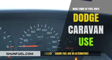 Dodge Caravan Fuel Type: Gasoline, Efficiency, and Performance Explained