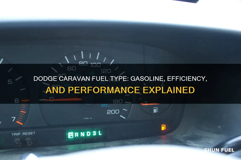 what kind of fuel does dodge caravan use