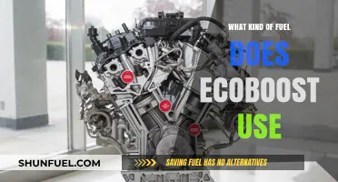 EcoBoost Fuel Type: Unleashing Power with the Right Gasoline Blend