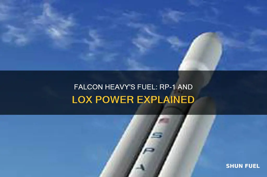 what kind of fuel does falcon heavy use