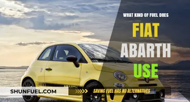 Fiat Abarth Fuel Type: Unleashing Performance with the Right Gasoline