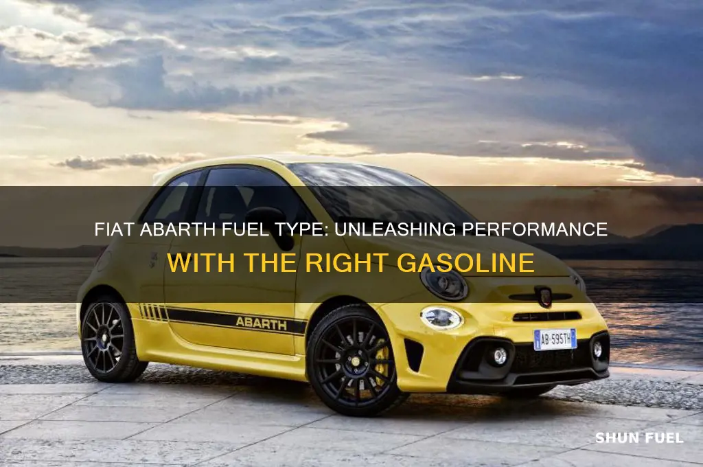 what kind of fuel does fiat abarth use