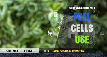 Exploring Fuel Cell Energy: Types of Fuel Used in Fuel Cells