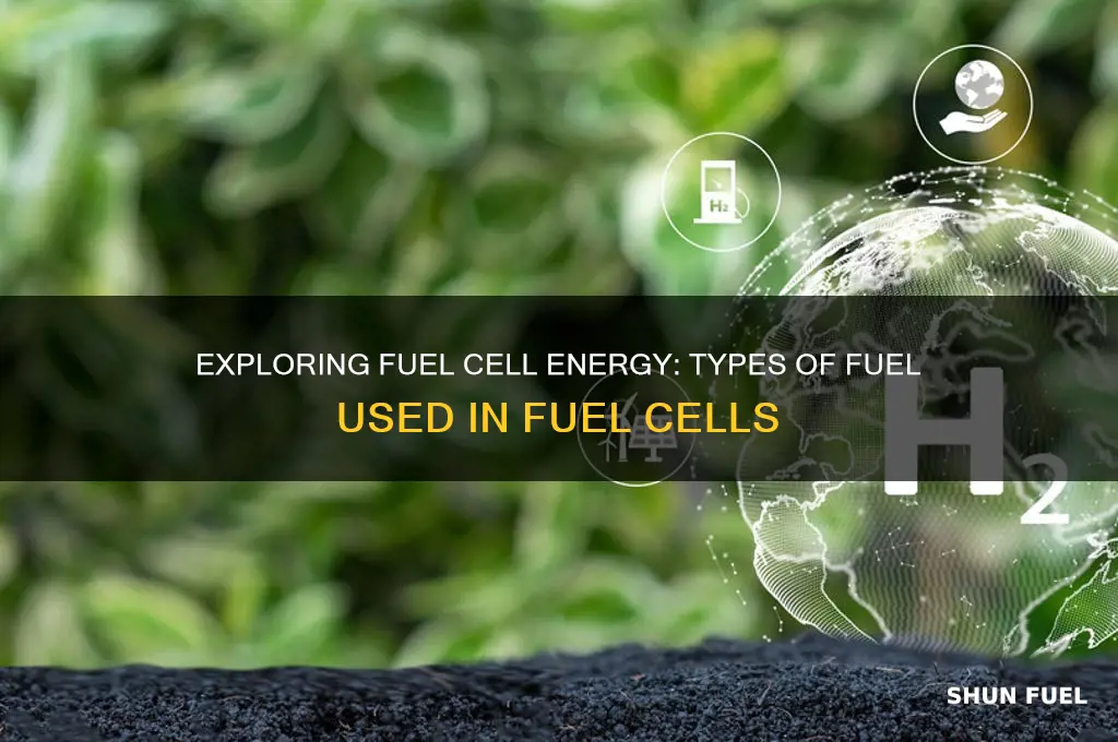 what kind of fuel does fuel cells use