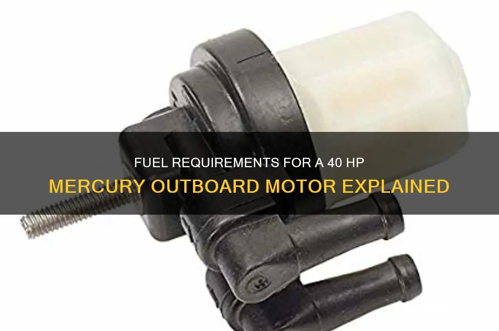 what kind of fuel does my 40 hp murcery use