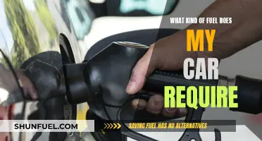 Car Fuel Requirements: Understanding Your Vehicle's Appetite