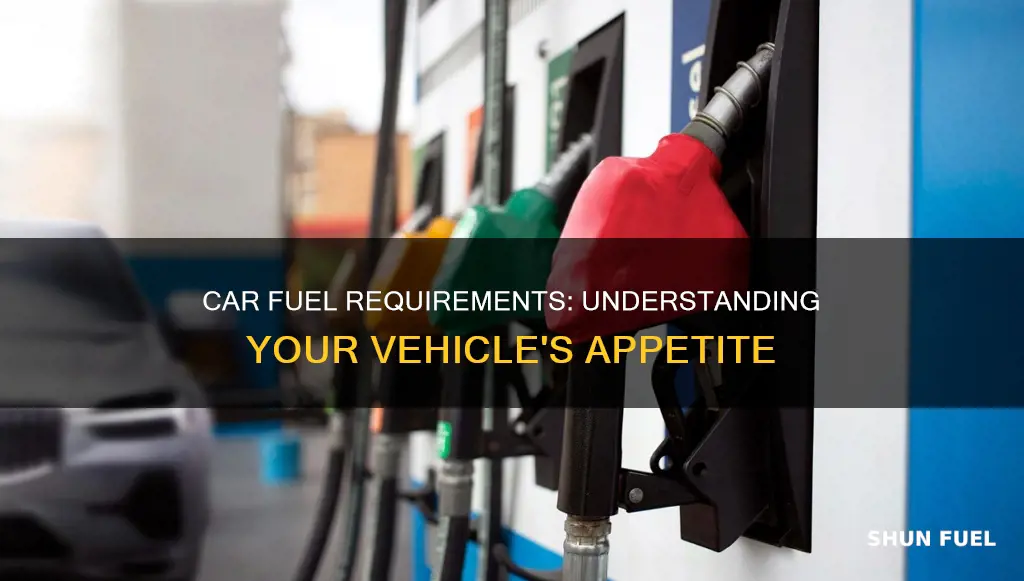 what kind of fuel does my car require