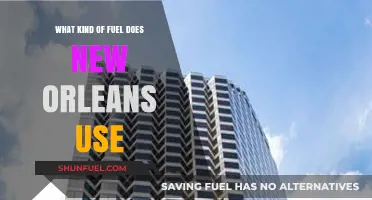 New Orleans' Energy Sources: Exploring the City's Fuel Usage and Trends