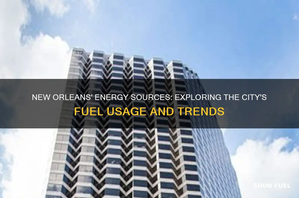 what kind of fuel does new orleans use