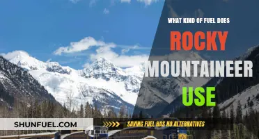 Rocky Mountaineer's Fuel Choice: Powering Scenic Rail Journeys Sustainably