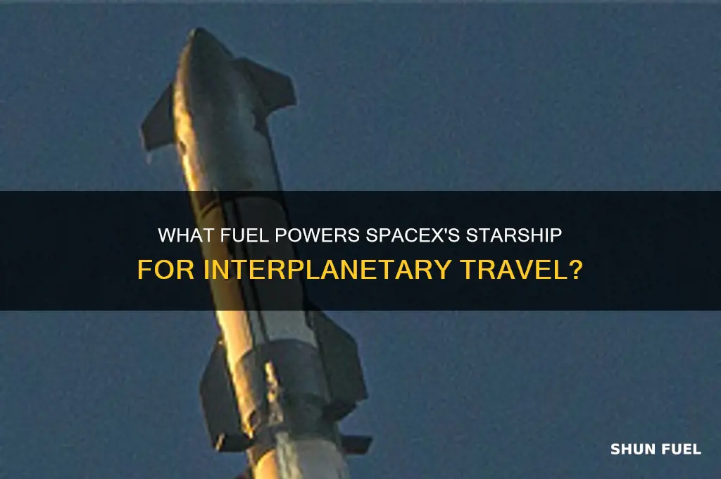 what kind of fuel does starship use
