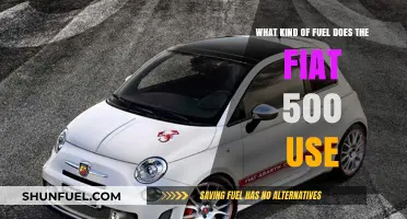 Fiat 500 Fuel Type: Gasoline, Diesel, or Hybrid Options Explained