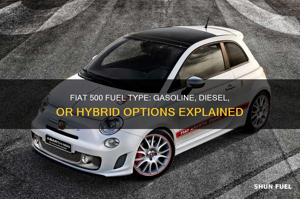 what kind of fuel does the fiat 500 use