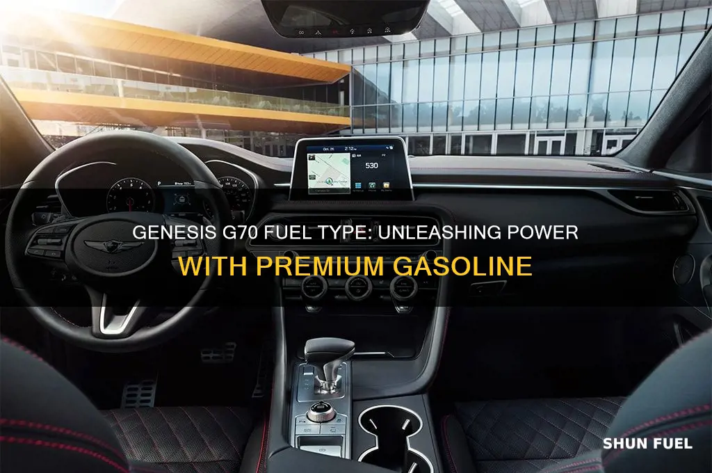 what kind of fuel does the genesis 70 use