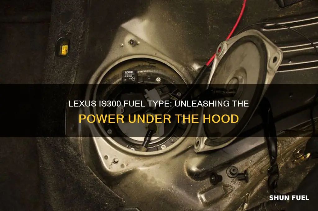 what kind of fuel does the lexus is300 use