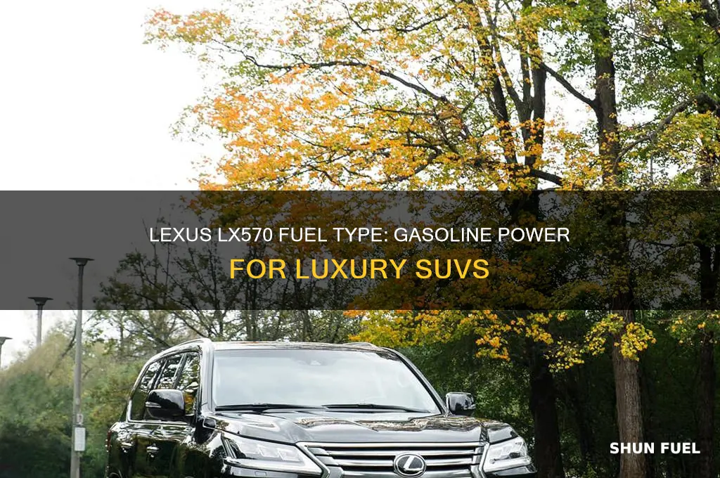 what kind of fuel does the lexus lx570 use